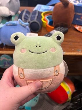 5” frog Squishmallow